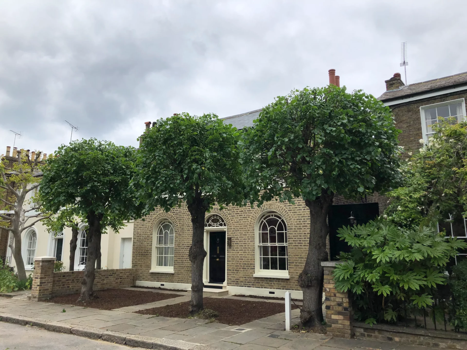 A two-story brick house with arched windows and a black front door, complemented by three large pruned trees in the front yard, meticulously maintained by a tree surgeon in Edinburgh. The sky is overcast and the street is empty.