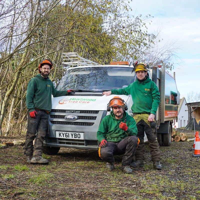 Three workers in green uniforms and protective helmets pose in front of a white van with a "Heartwood Tree Care" logo. The scene, reminiscent of a tree surgeon in Edinburgh, features an outdoor setting with trees and equipment nearby.