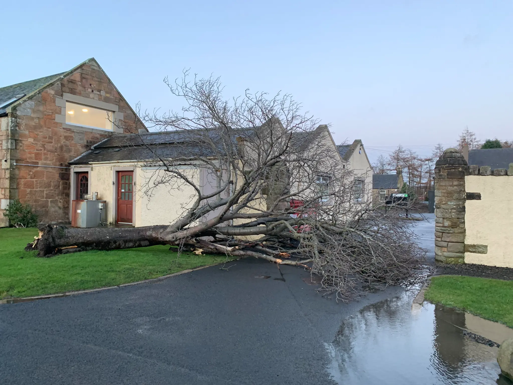 A large fallen tree lies across a residential driveway in Edinburgh, obstructing access to the house and partially blocking the road. A tree surgeon may be needed to safely remove it and restore access.