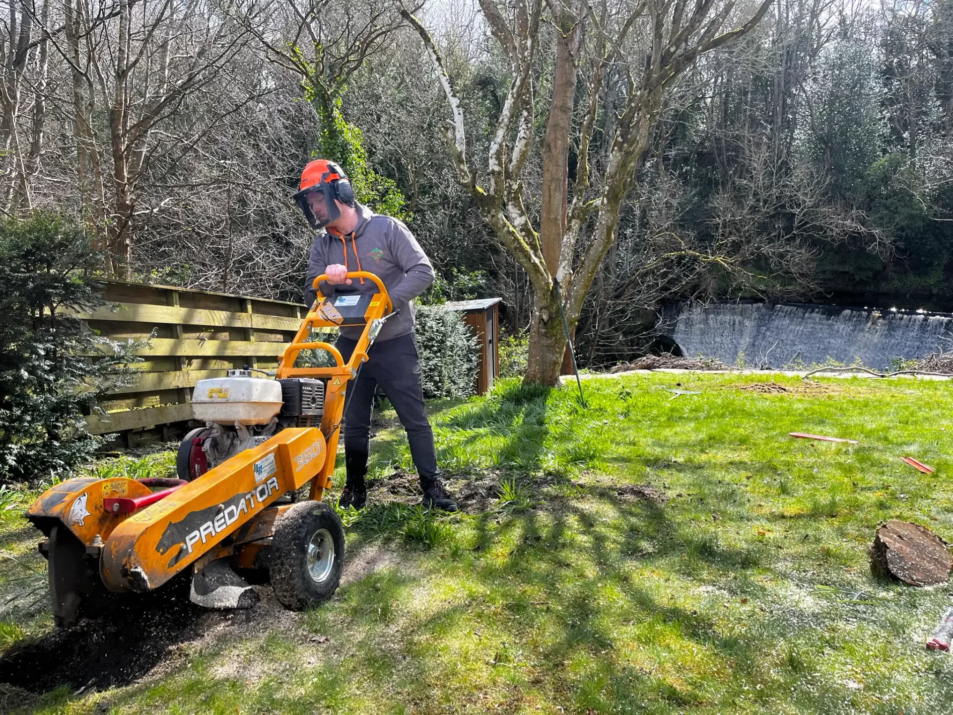 A tree surgeon from Edinburgh expertly operates a stump grinder on a grassy area near trees and a wooden fence, with a river flowing serenely in the background.